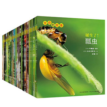 小说课1 折磨读者的秘密+小说课2 偷故事的人（套装共2册）